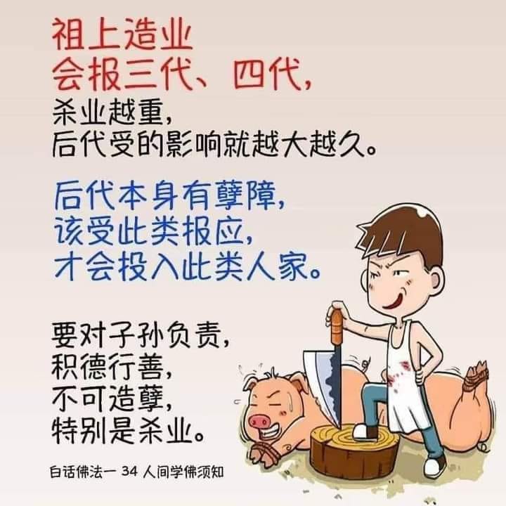 北马卢台长心灵法门共修会 - 🌱🌱祖上有杀业, 下一代学佛还债还会影响第三代吗? 🔆问：关于杀业, 杀业报三代,...