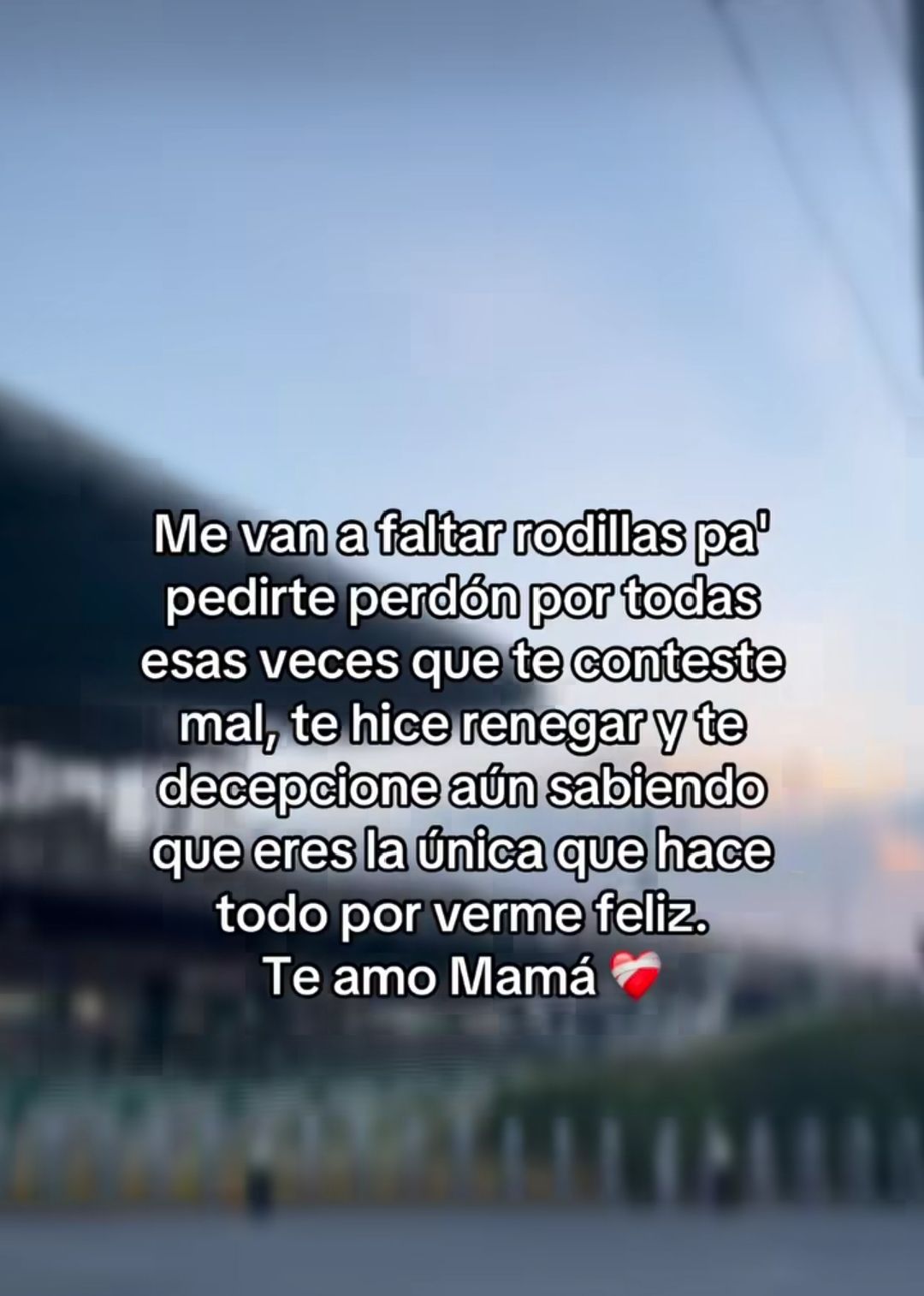 Aly Abarca Rojas