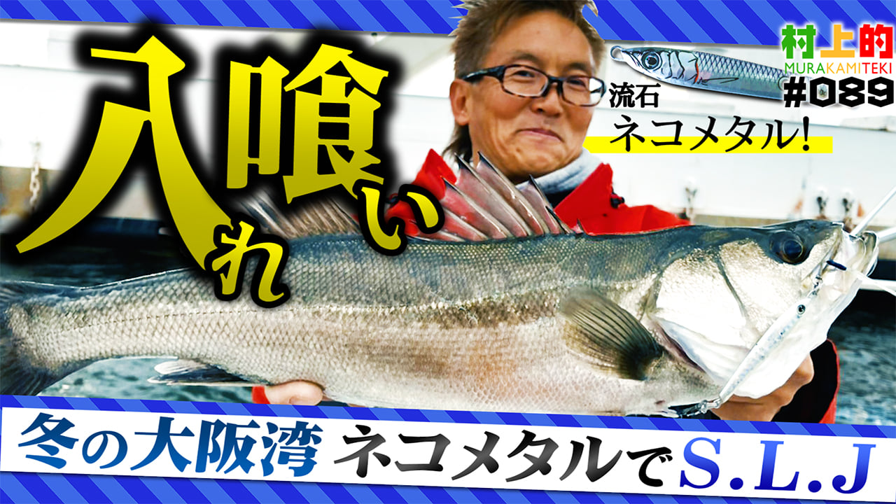 Issei 一誠 Official 村上的 0 入れ食い ネコメタル 冬の大阪湾でslj ライトゲーム Youtu Be 3q5ubhkyquo 冬の大阪湾実釣 第1弾 マヅメ時 ネコメタルで入れ食い Issei 一誠 村上晴彦 村上的 ネコメタル Slj ジギング 大阪湾 アジ