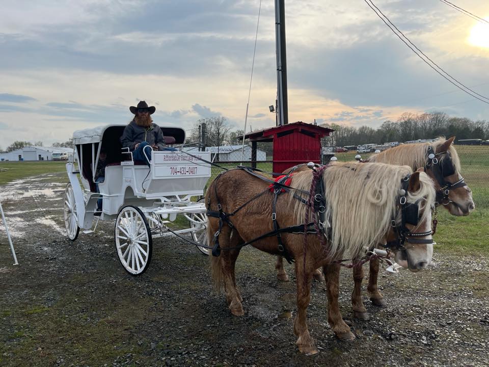 Affordable Carriage Rides | Rockwell NC
