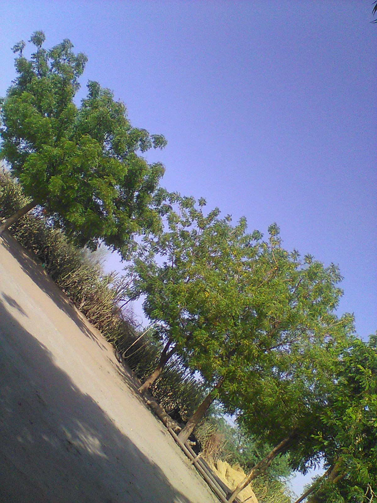 Sandip rajput
