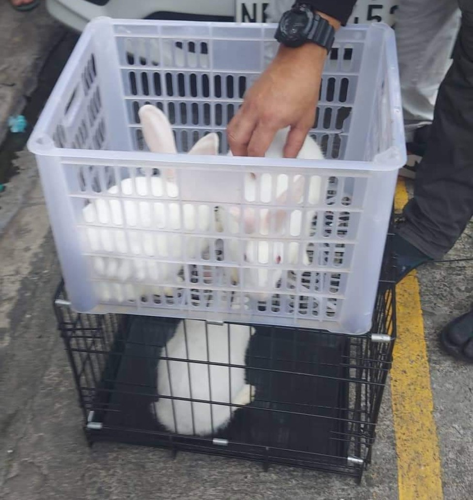 CLA Rabbits PH - Our Cali Line bound to Marinduque 🤙 Buyer...