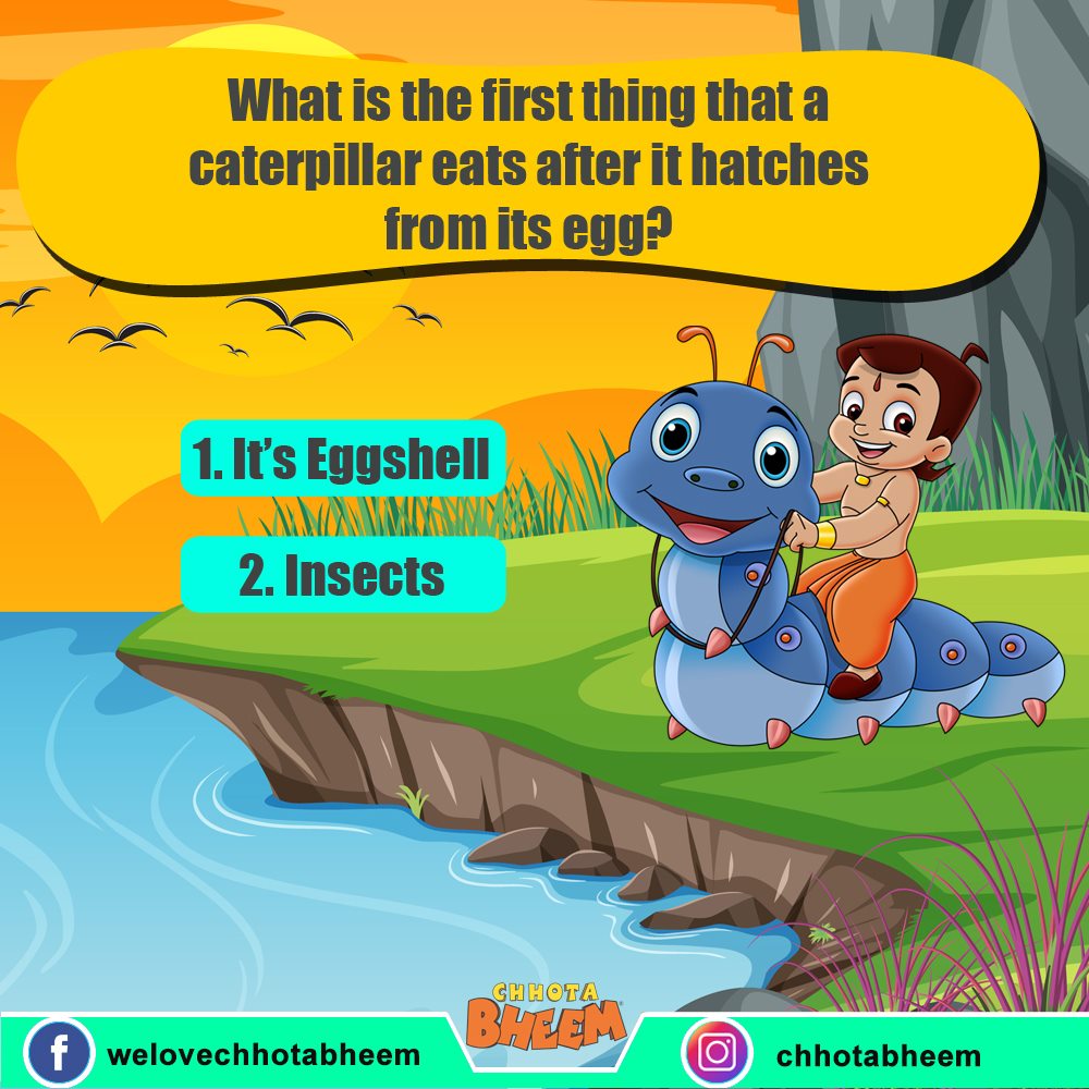 Chhota Bheem - Caterpillar is the larva of a butterfly or...