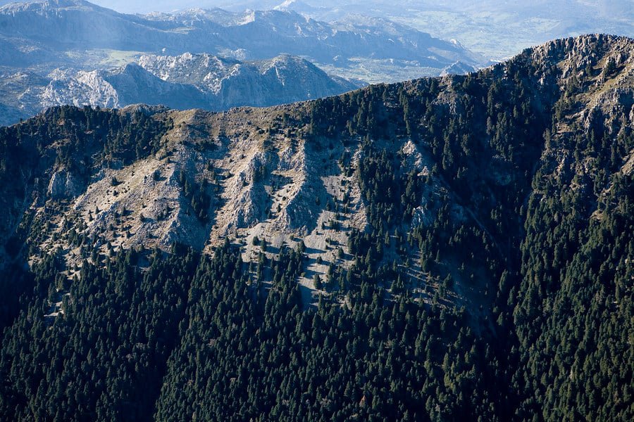 La Rediam con... - Red de Información Ambiental de Andalucía