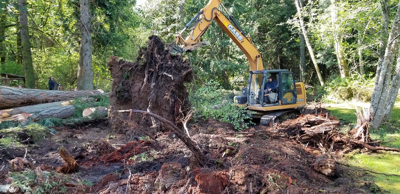 Highline Tree Removal Service | Southworth WA