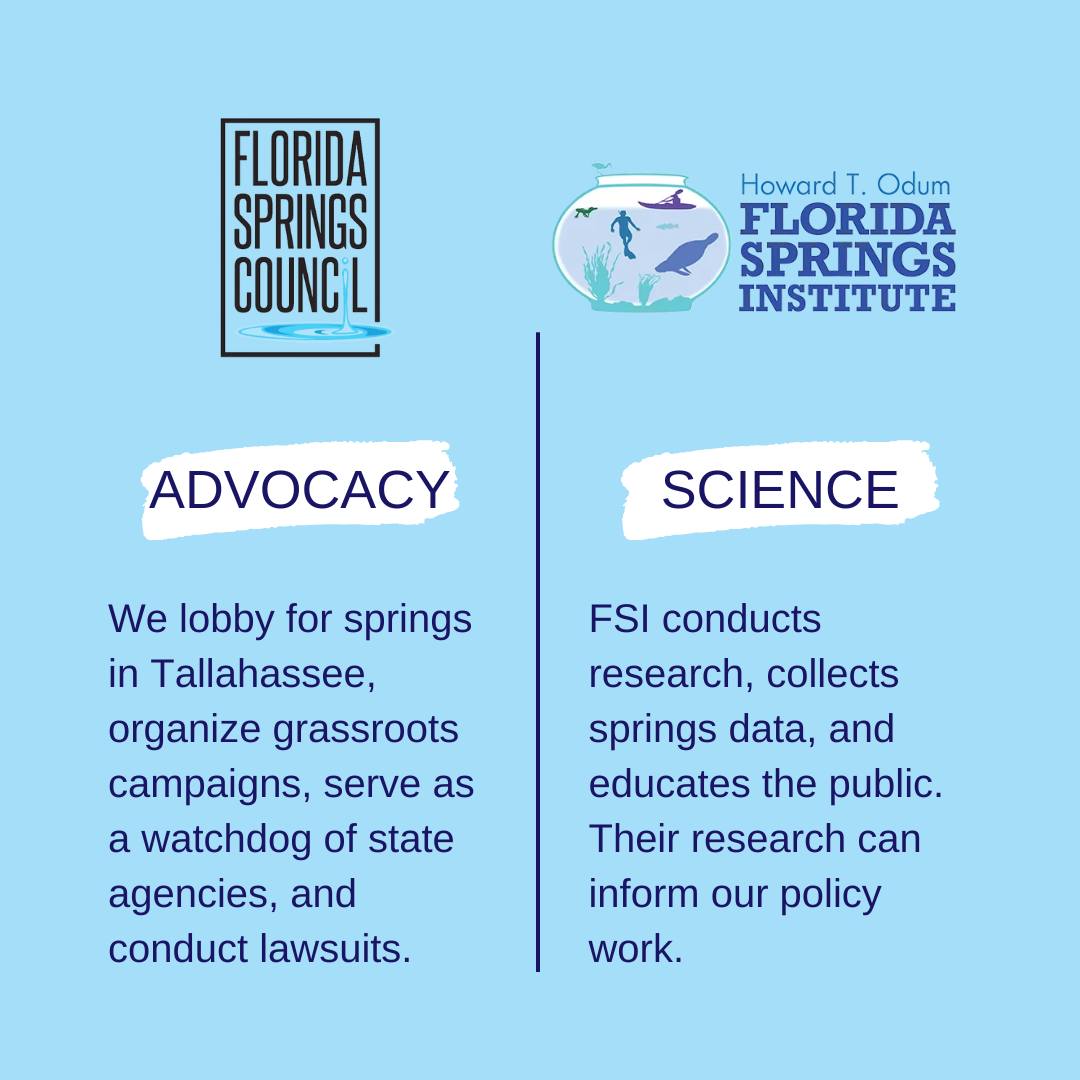 The Council and the Institute.... - Florida Springs Council