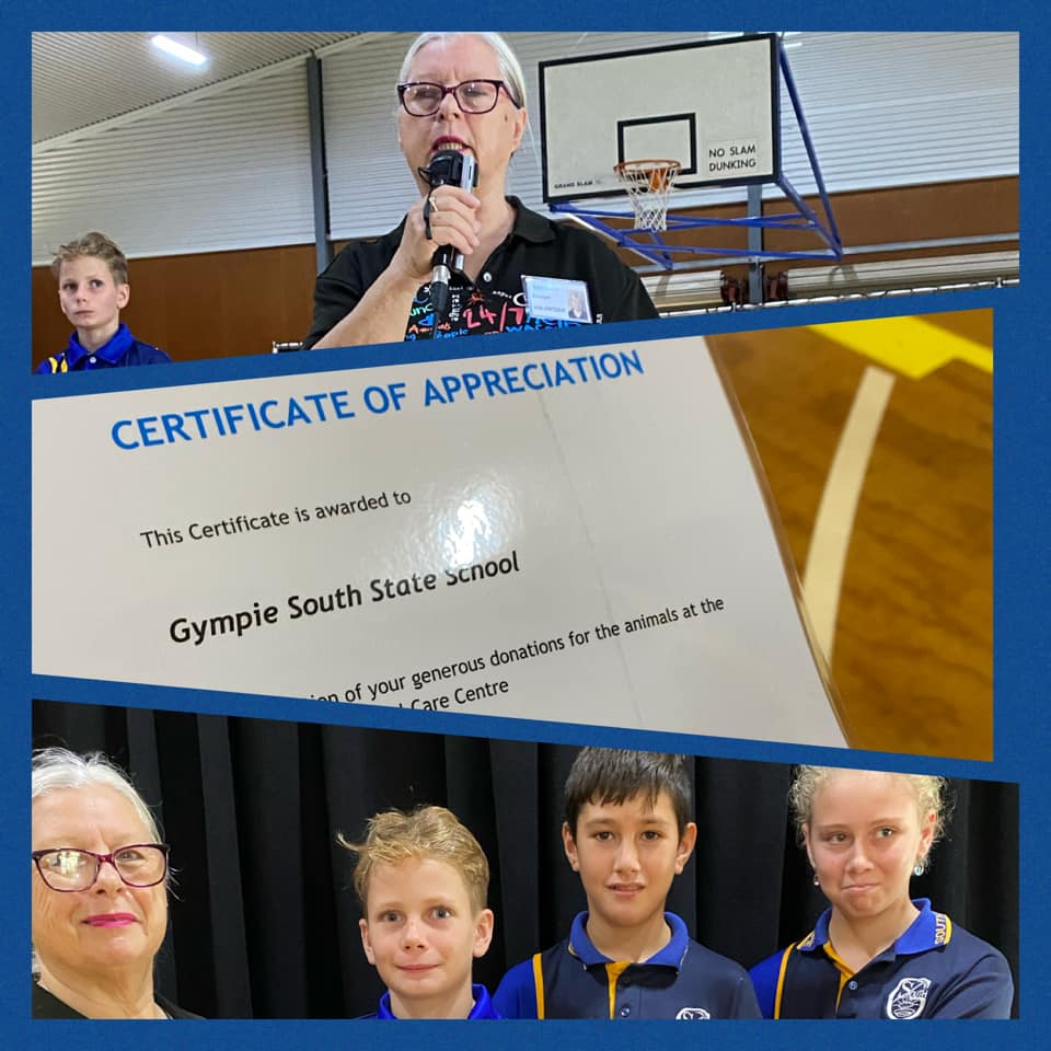 Gympie South State School - Today Evelyn from the RSPCA came to ...