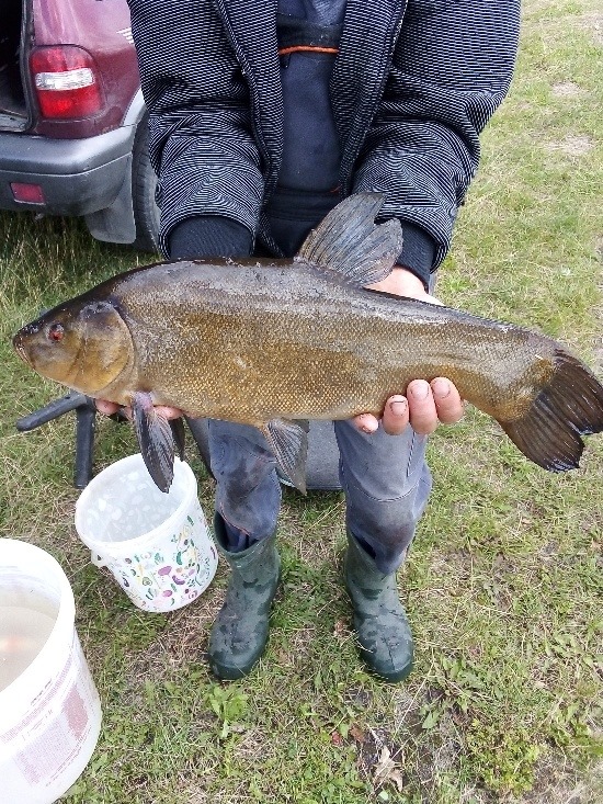 Big Fish 