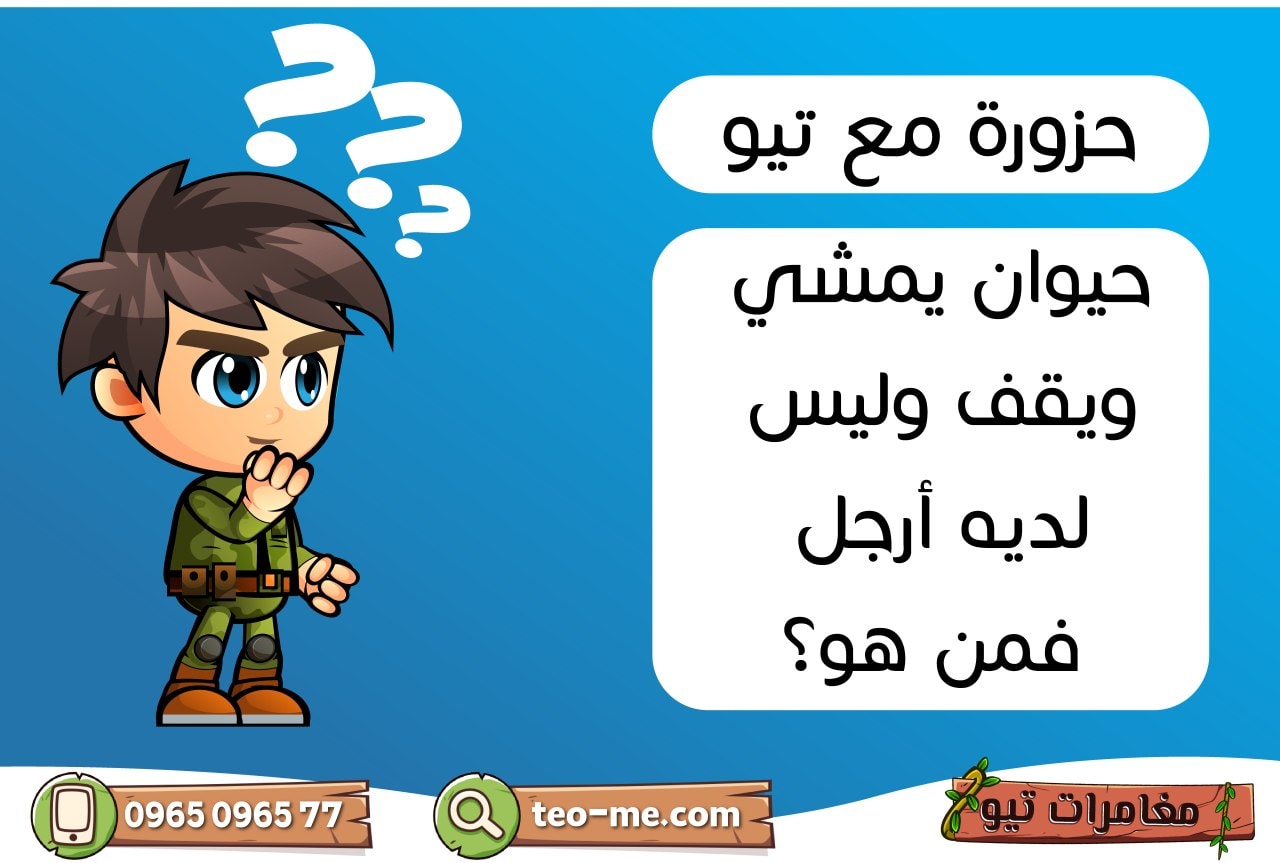 مغامرات تيو - ساعدو تيو ليعرف الحل 🤔🤔 #فقرةالحزازيرمع_تيو...