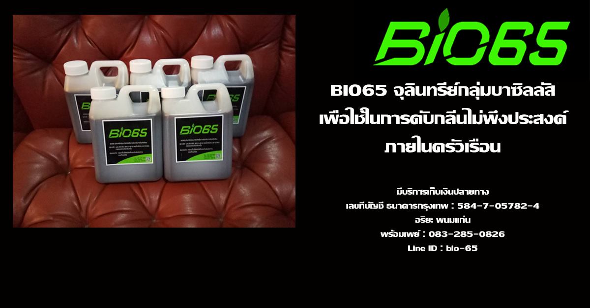 BIO 65
