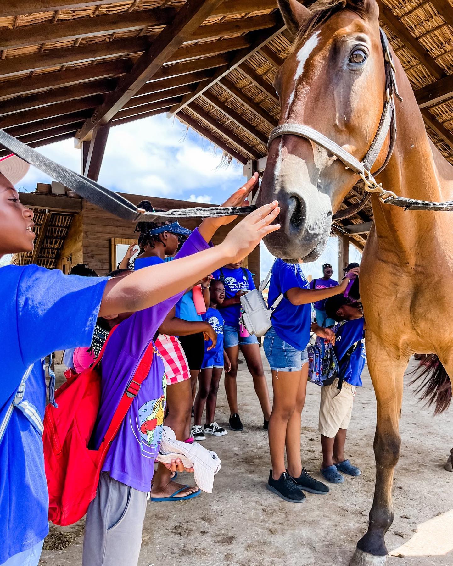 The Aerial BVI - Today Redemption Ranch hosted 26 children...