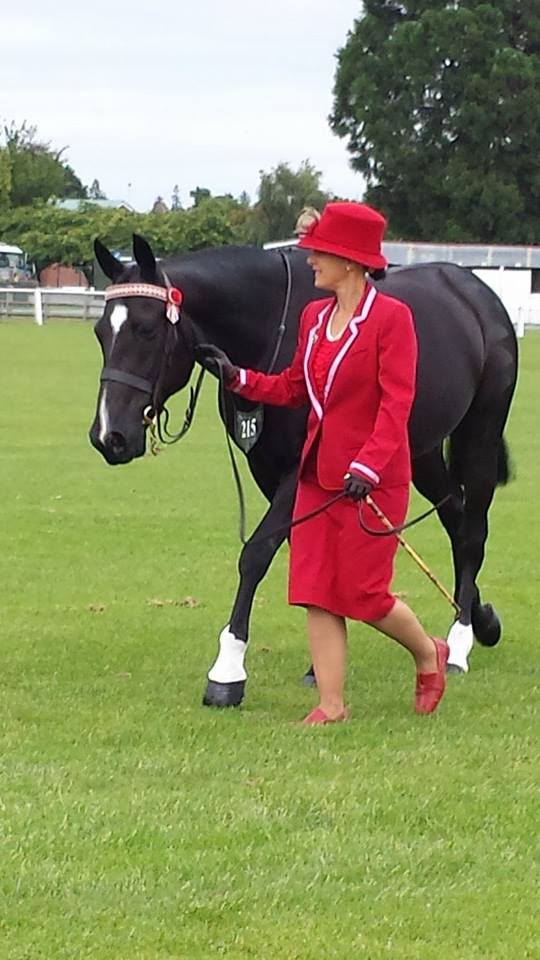 Suzie Parker Equine Therapy Christchurch