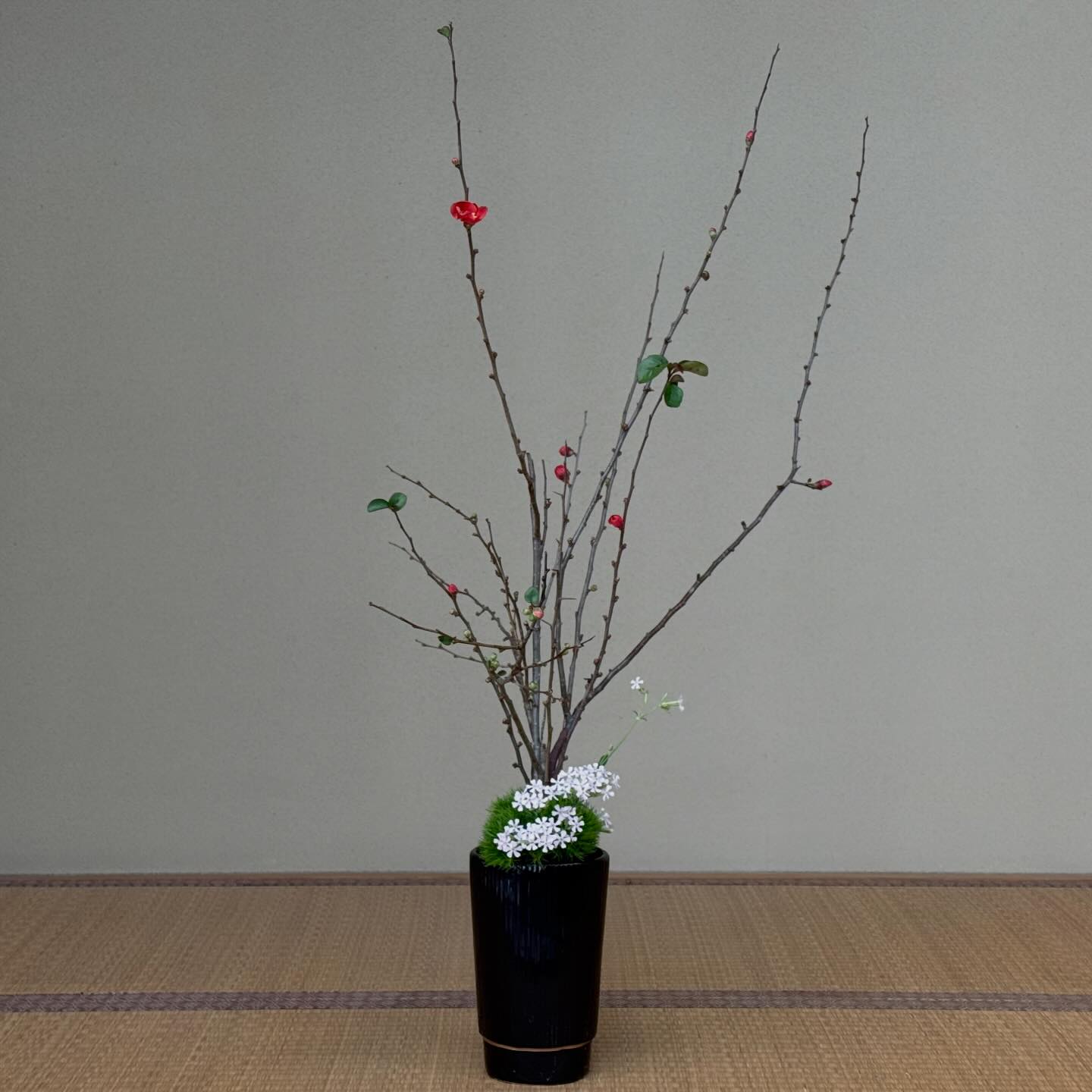 自由花】2025年12月2日 池坊短期大学 池坊文化芸術財団