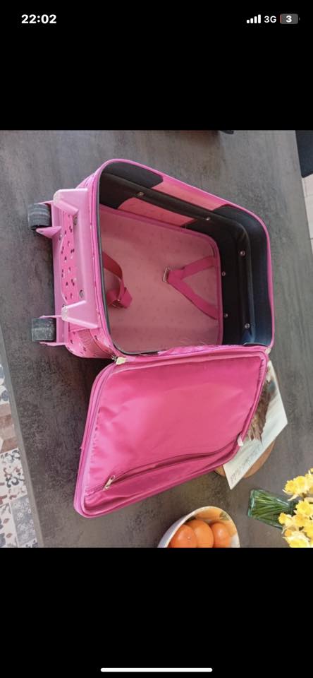 Valise à Roulettes Bébé Mignonne En Plastique - Mini Bagage Jouet Rose Pour Enfant