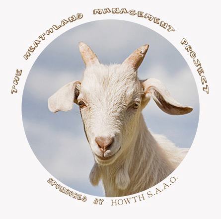 Goats for Howth