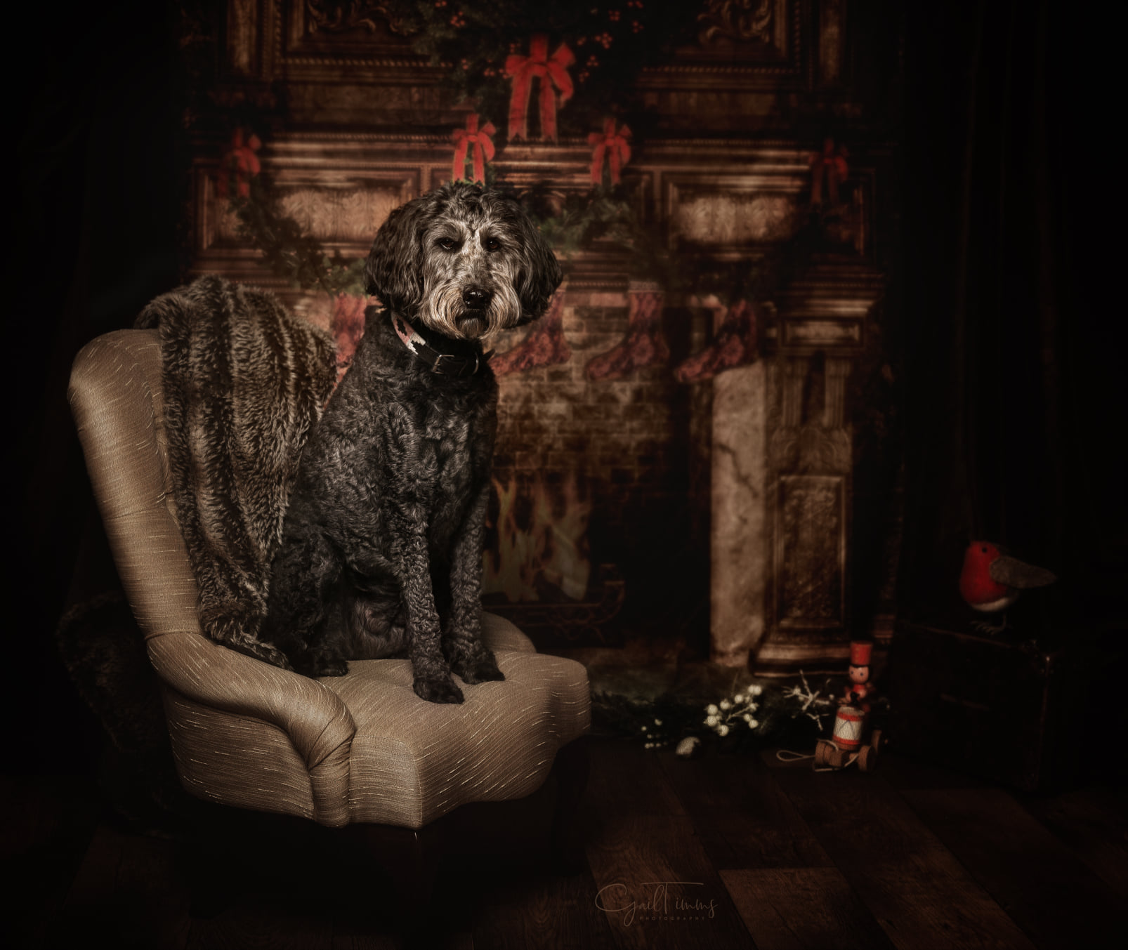 Gail Timms Photography