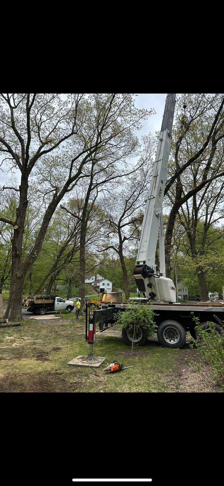 Ballston Tree & Property Services | Ballston Spa NY