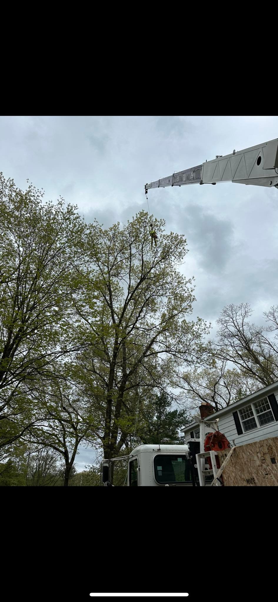 Ballston Tree & Property Services | Ballston Spa NY
