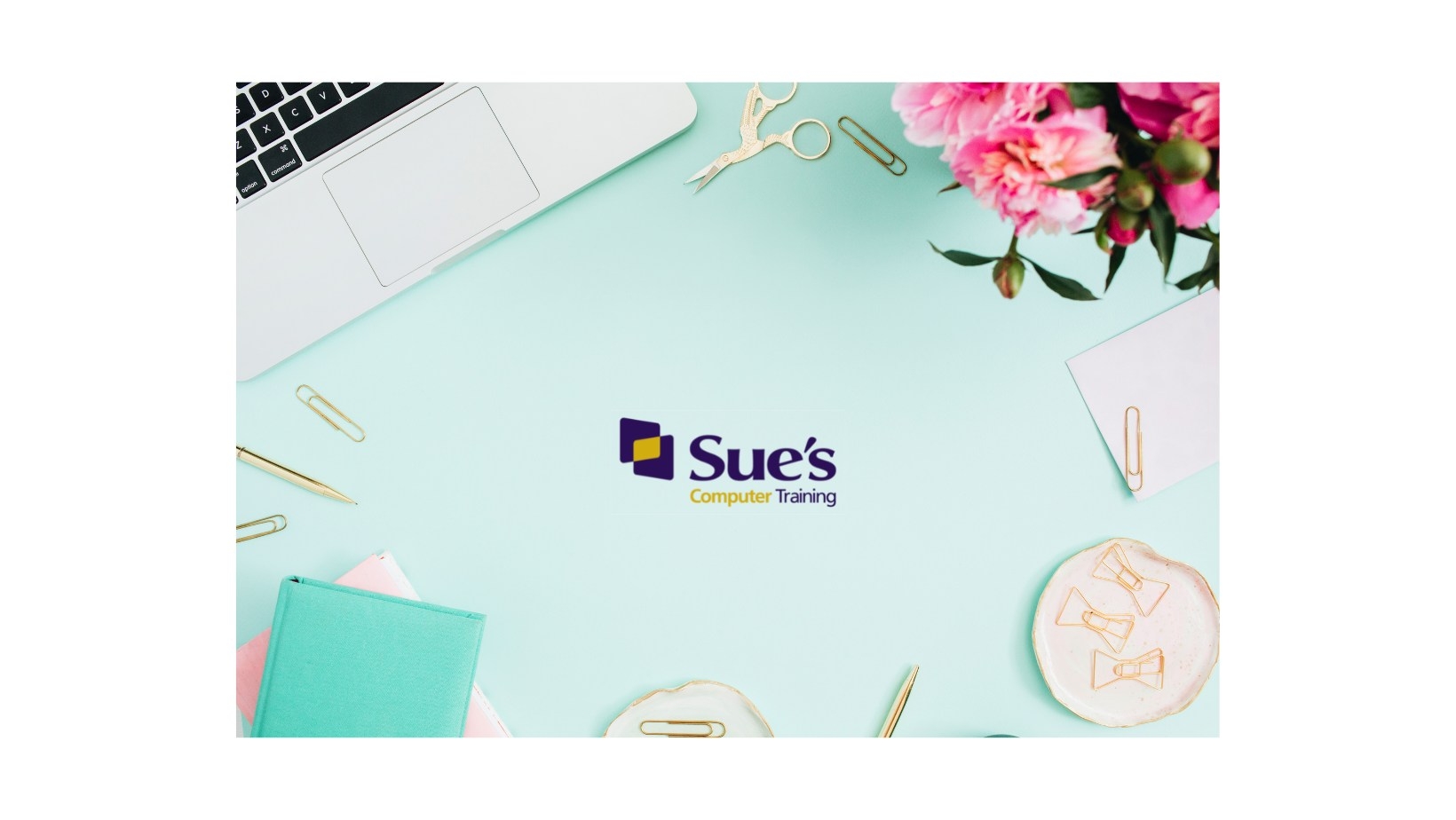 Sue's Computer Training Company | Tauranga