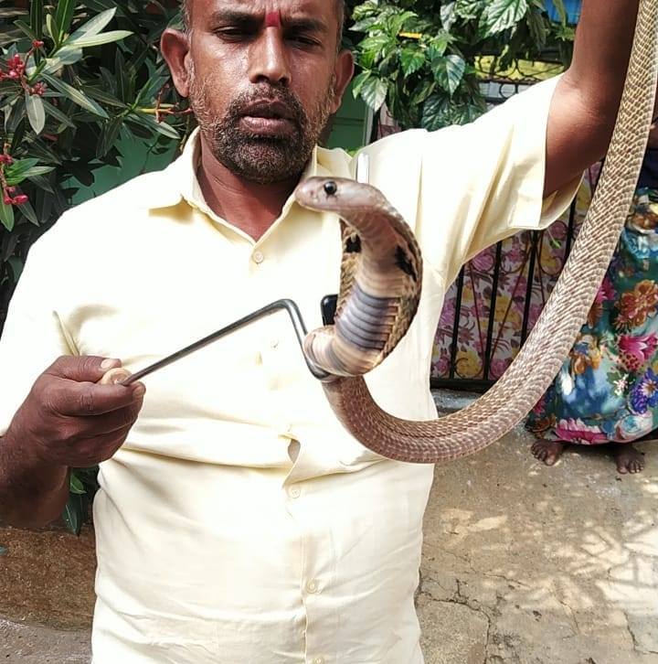 Snake Nagaraj ಸ್ನೇಕ್ ನಾಗರಾಜ್ on Reels | Facebook