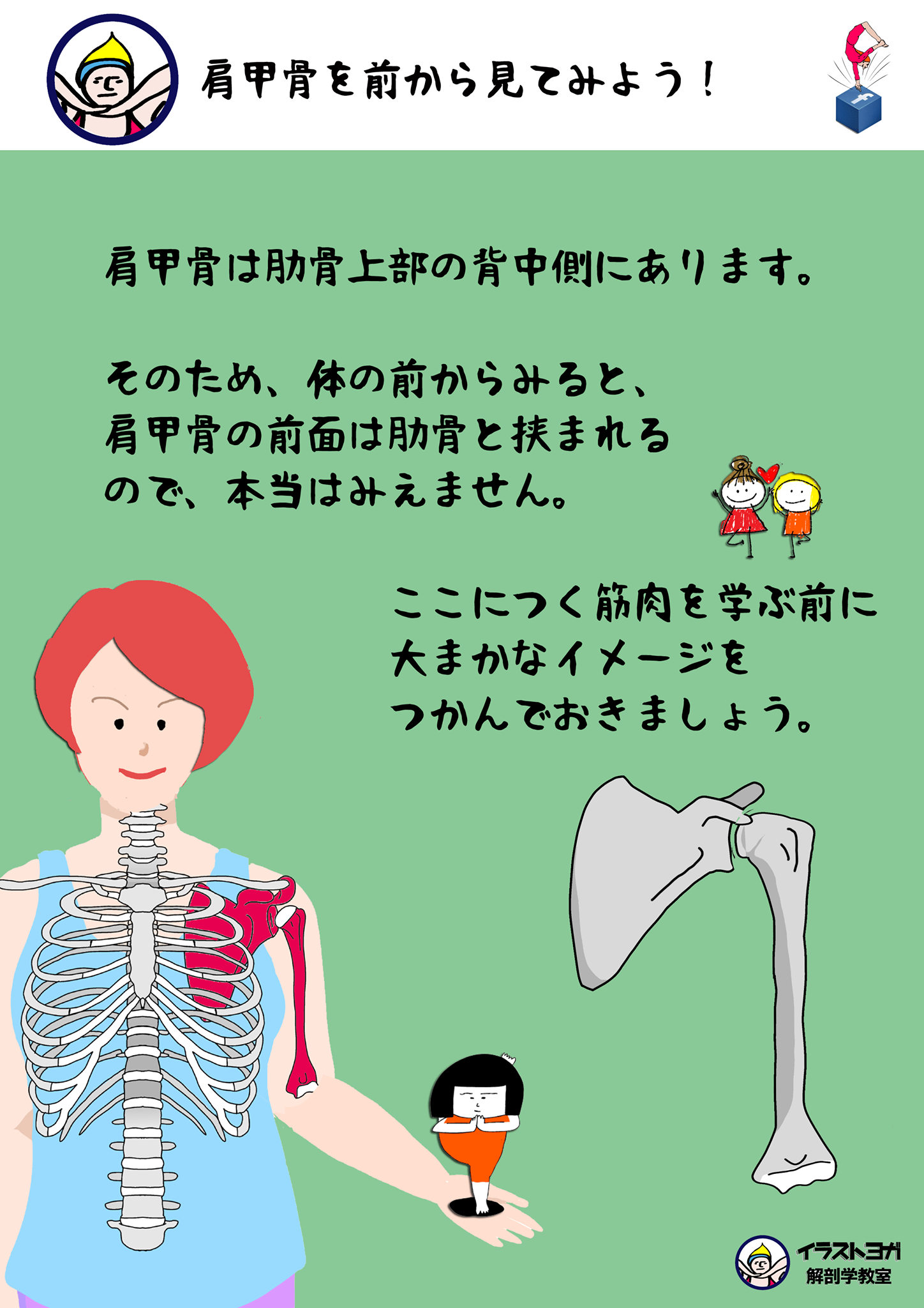 世界一 ゆる く学ぶ イラスト解剖学教室 Accueil Facebook
