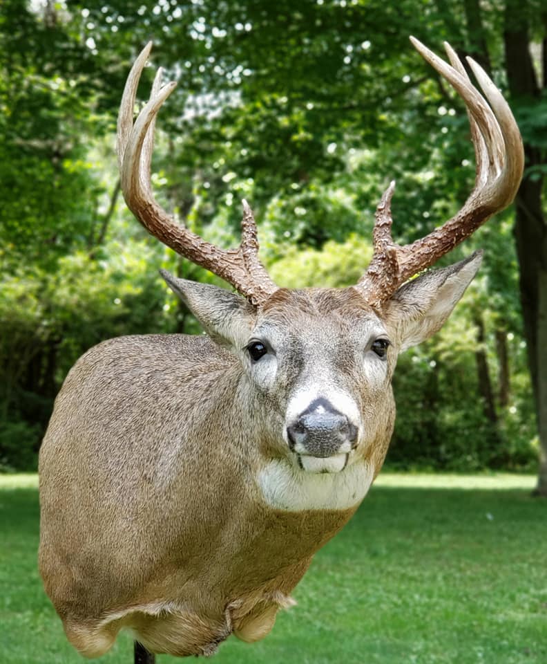 Congratulations to Jacob Labrecque!... - Linc's Taxidermy | Facebook