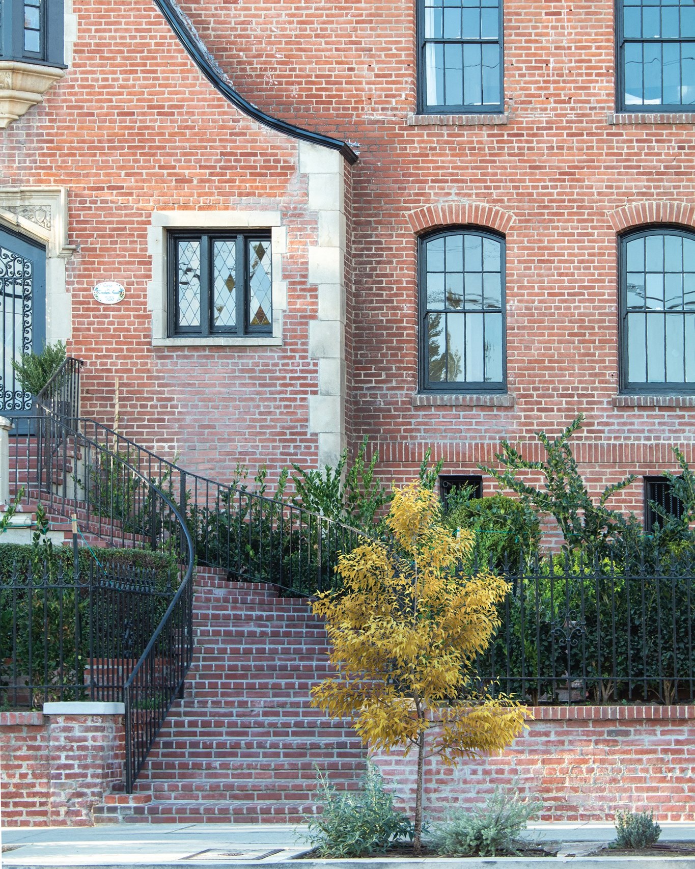 Xfrog - New challenge: Spot the render! Tell us which tree you think is ...