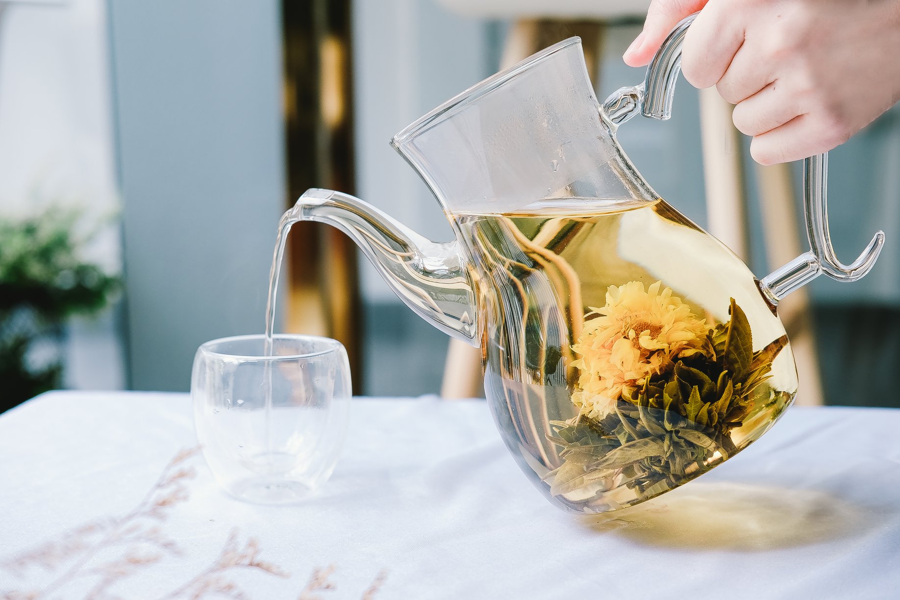 Char - BLOOMING TEA ชาดอกไม้บาน ชาที่เป็นดั่งศิลปะแห่งชา...