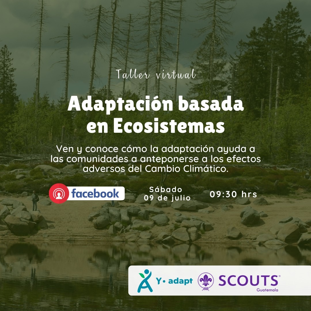Y-Adapt