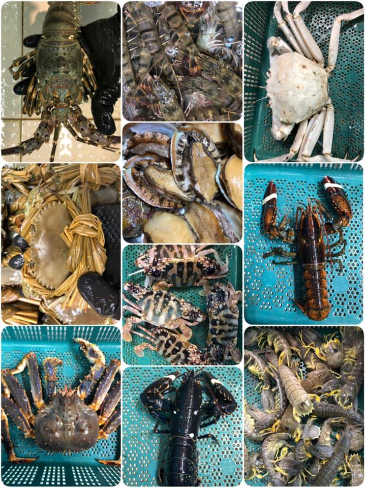 當魚加上羊