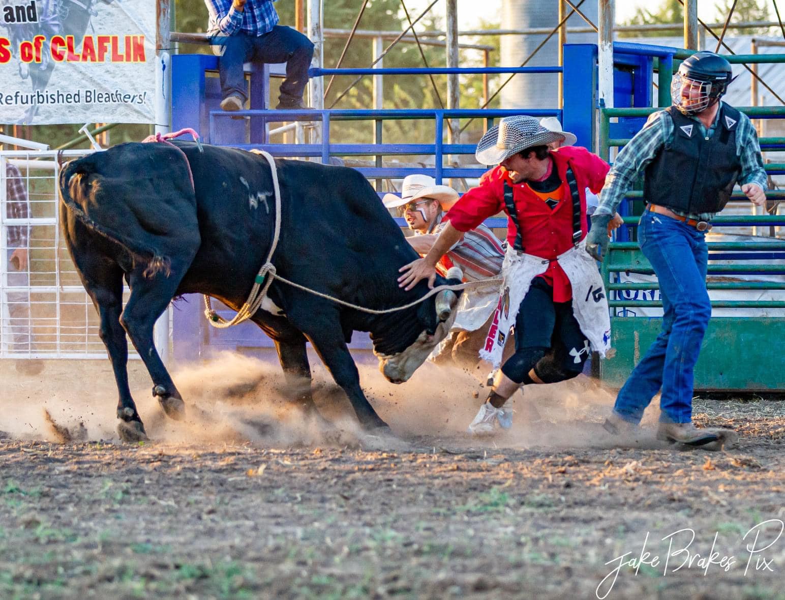Skip Miller Bull Fighter