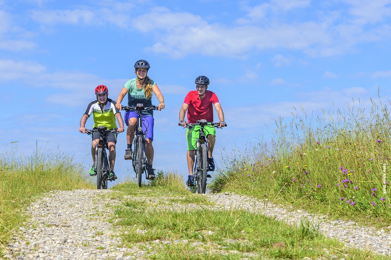 niedrige campingstühle Snow Peak Luxury Low Beach Camping-Klappstuhl – Elfenbein – zen minded Category:E Bike City / Urban_5 Medi-Inn Einmalhandschuhe Nitril white, Farbe:Oceania