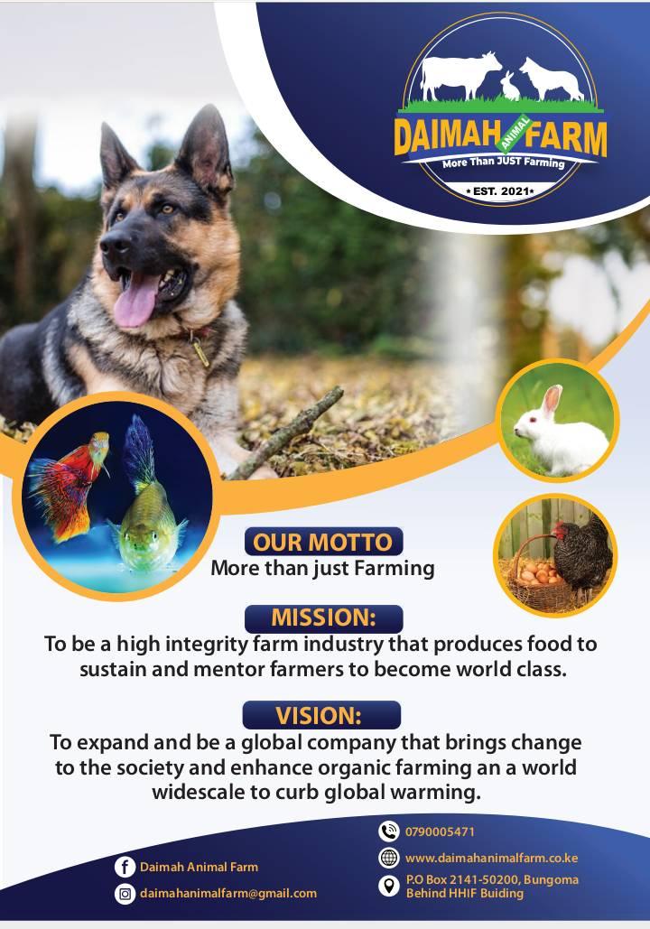 Daimah Animal Farm | Bungoma