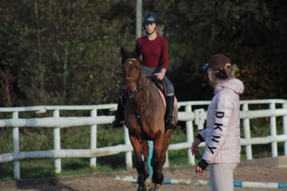 Some snaps of my pole work... - Charlotte Pudge Equestrian
