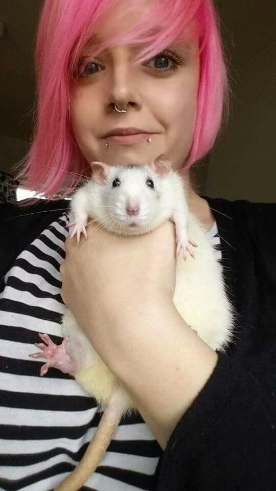 Rat Lovers & Owners | Facebook