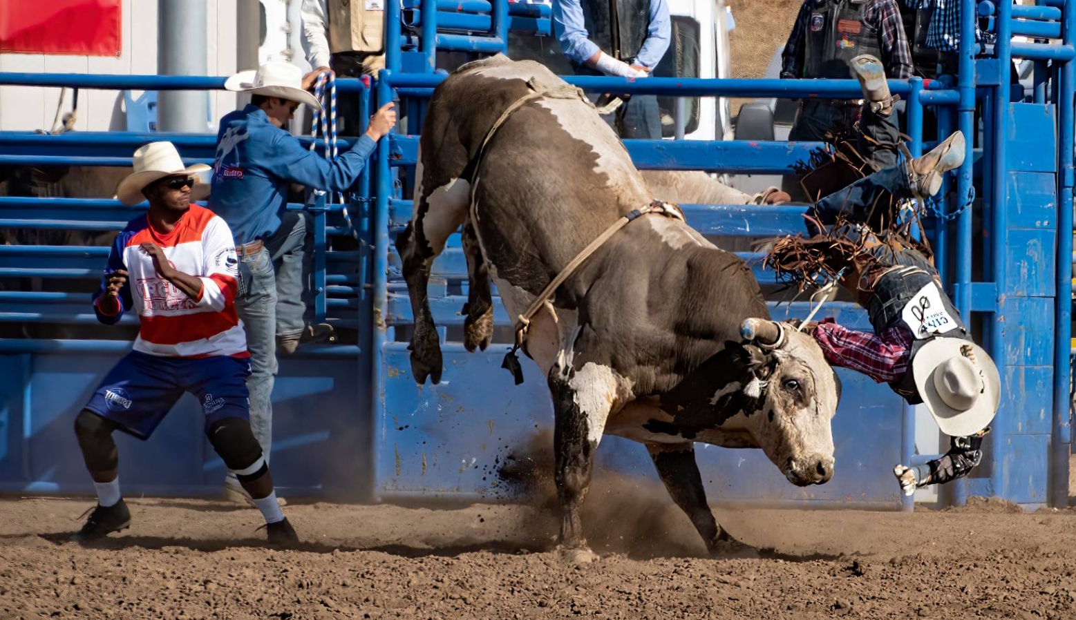 Santa Maria Elks Rodeo 2025 Live | Santa Maria CA
