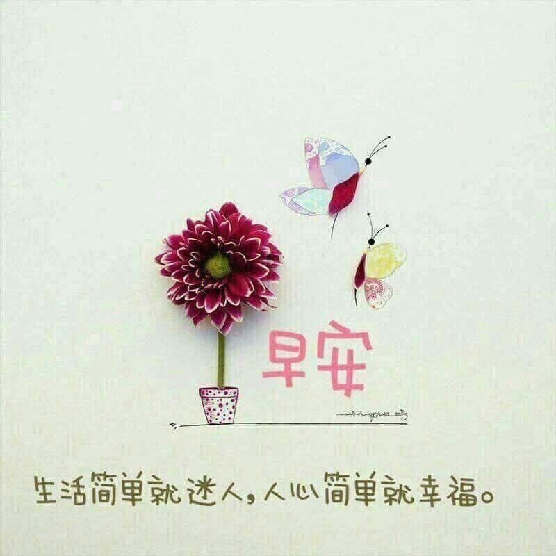 嗨～你好！早安 午安 晚安美圖分享 | 晨安美好😊週四順心愉快🌷一切都平安幸福🥰🌹 | Facebook