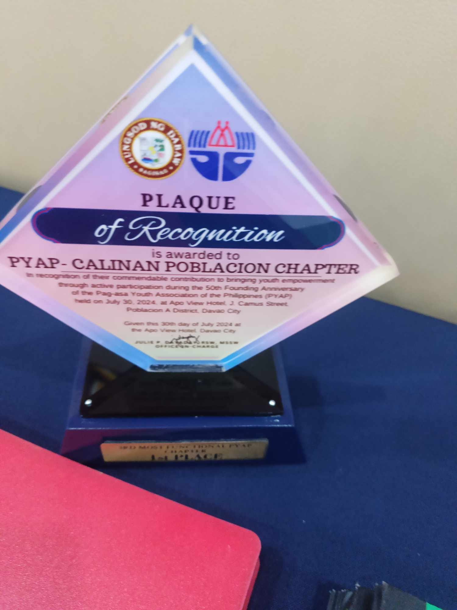 Pag-asa Youth Association of the Philippines -Calinan Poblacion Chapter ...