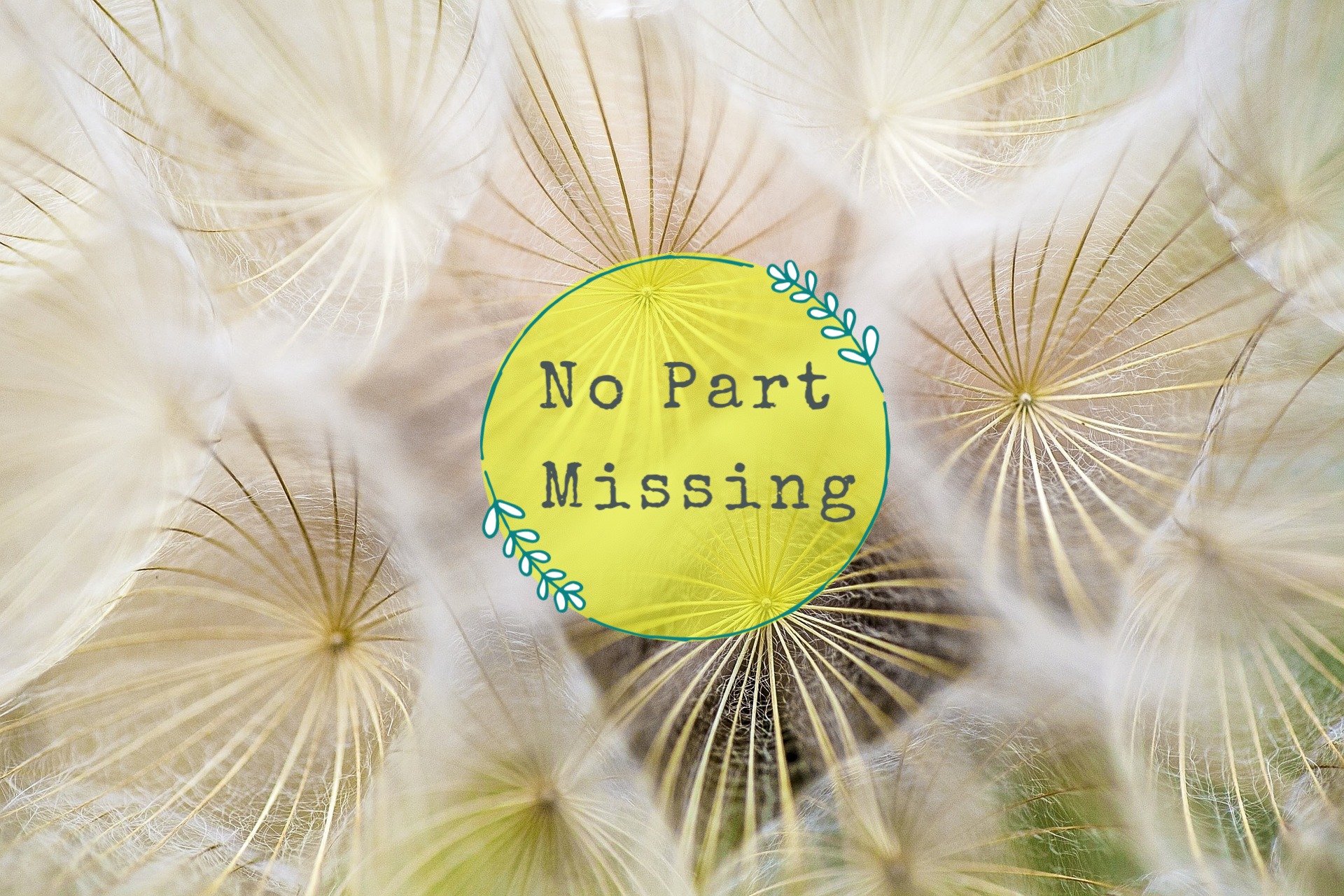 No Part Missing