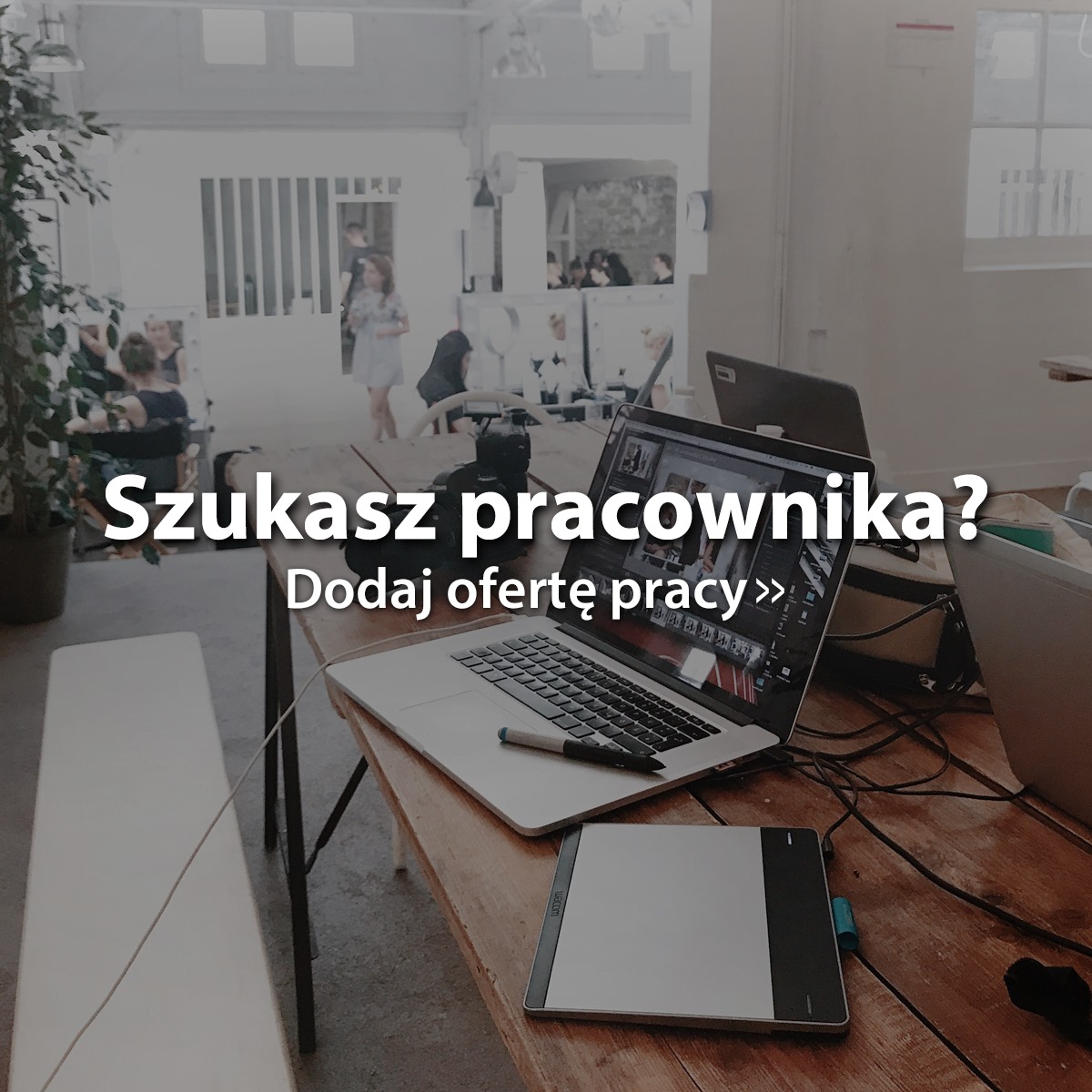 Ruda Śląska - Praca i Usługi, Firmy i Zlecenia, Reklama i Strony WWW