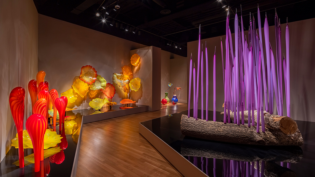 In 2002, the Oklahoma City Museum of Art opened the doors of its