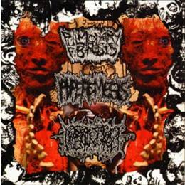 40 NEW 3-WAY SPLIT CD´s IN... - Bizarre Leprous Production CZ ...