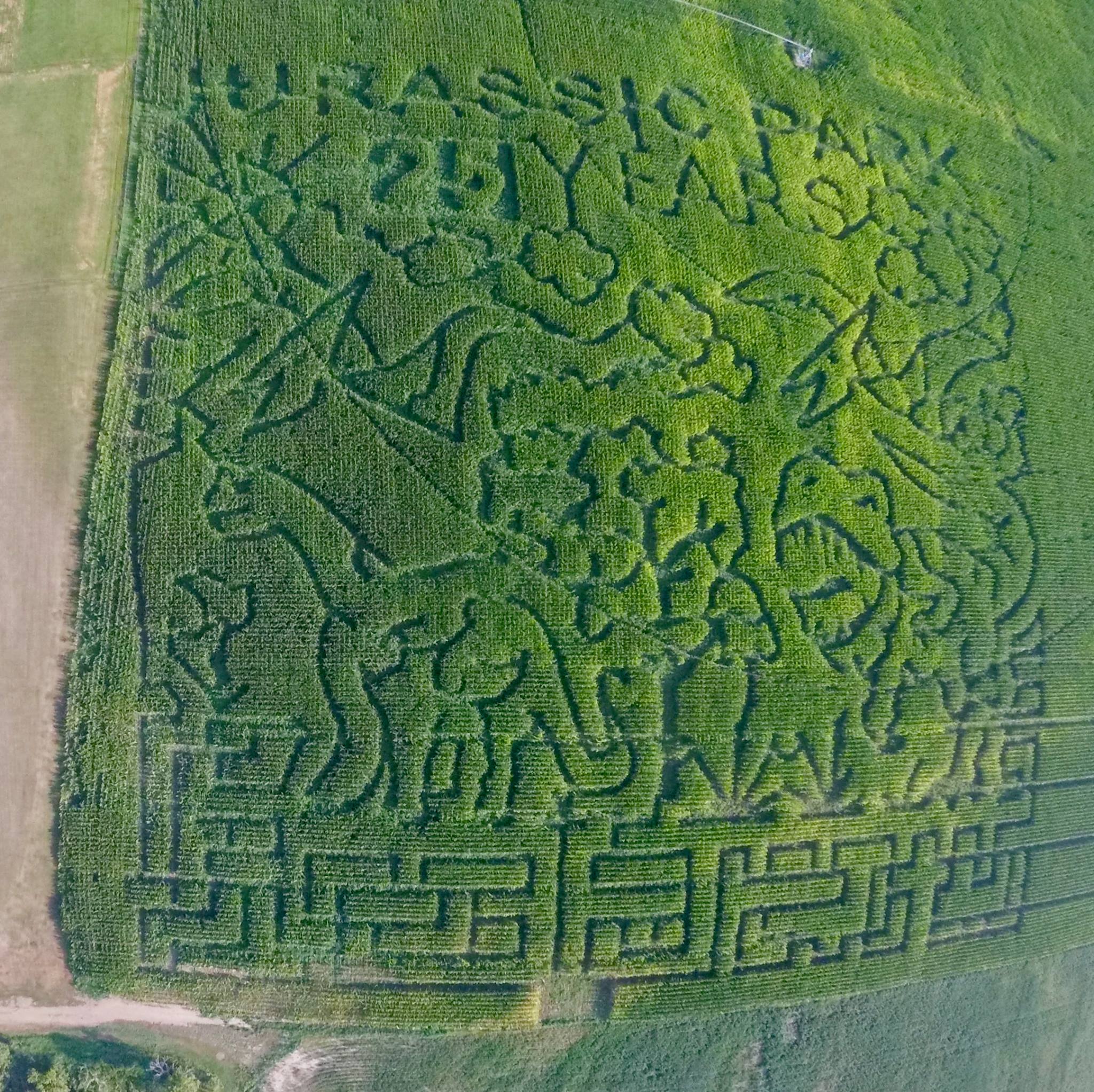 Amazing Corn Maize | Mandan ND