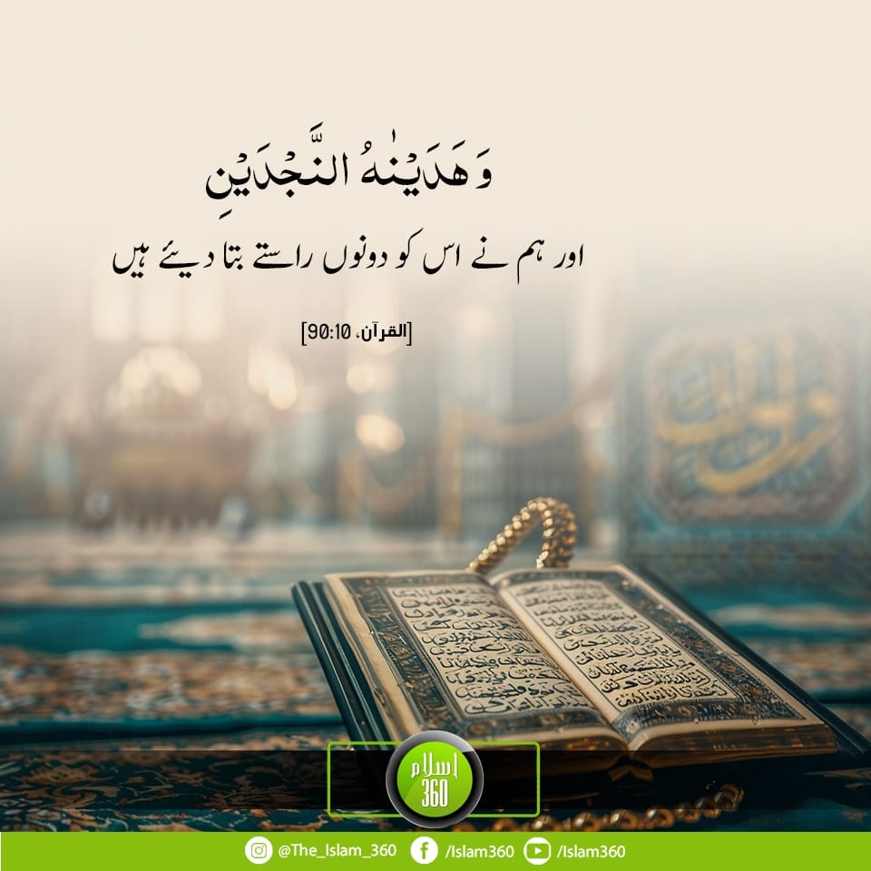 Mehar Riaz Mehmood