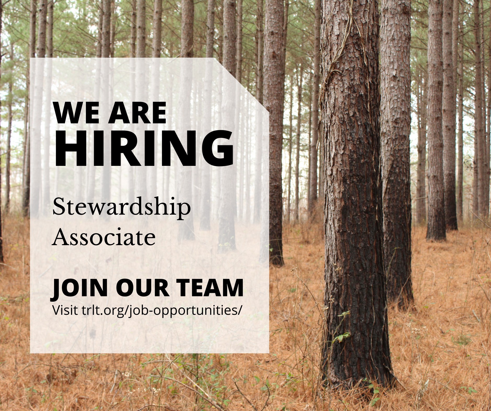 We are hiring a Stewardship... - Three Rivers Land Trust | Facebook