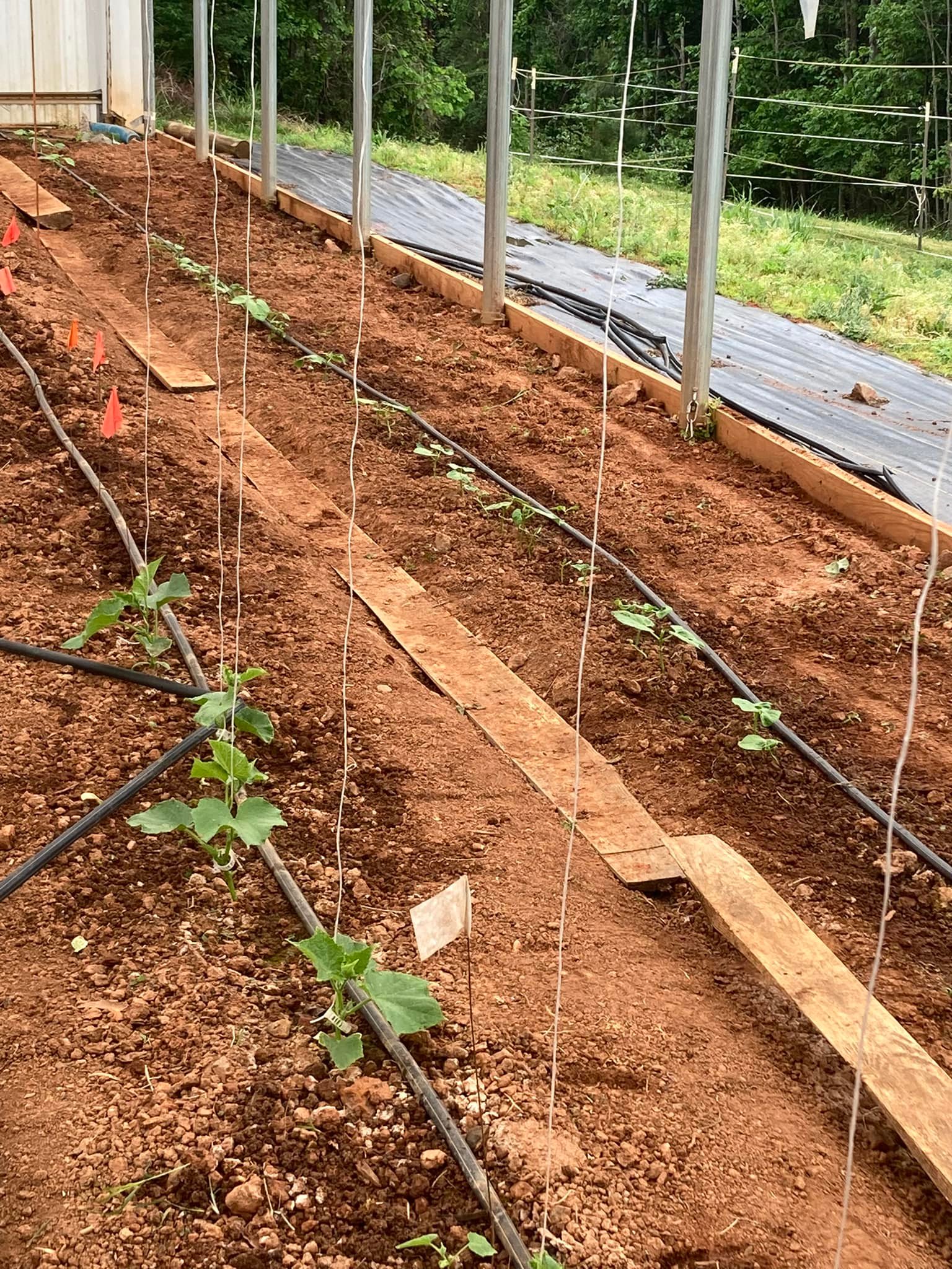 Threshold Retreat and Farm | East Bend NC