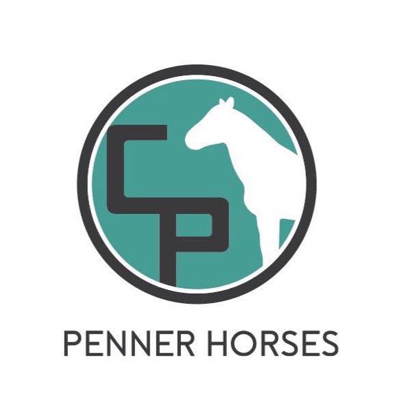 Penner - FOR SALE:: CONSIGNMENT. Pace is an 8 year old grade paint ...