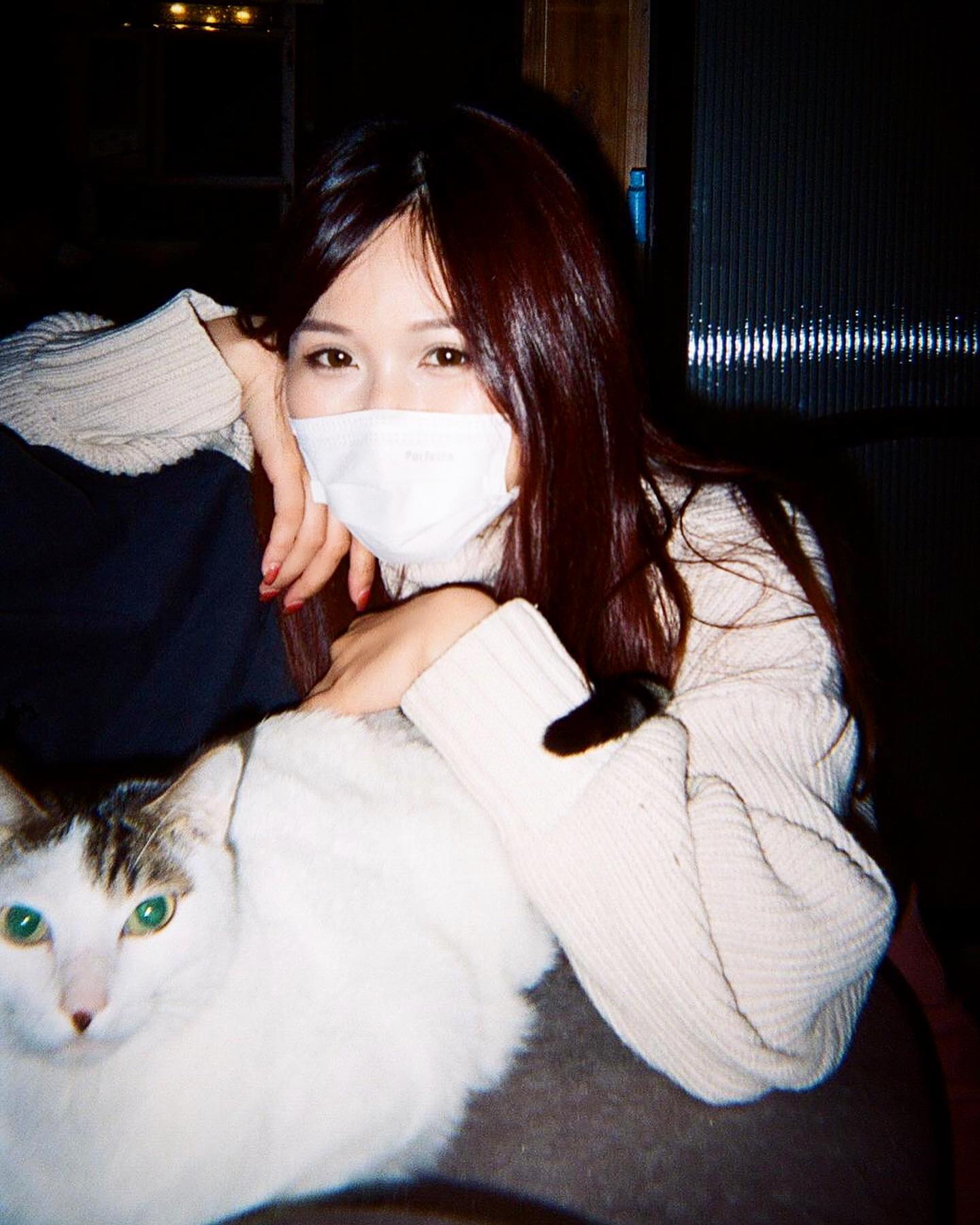 Mishy Fish 李昭南 - Lid Lid 係一座綠色眼嘅貓肉升降機 個pat pat 拍一下 升一次...