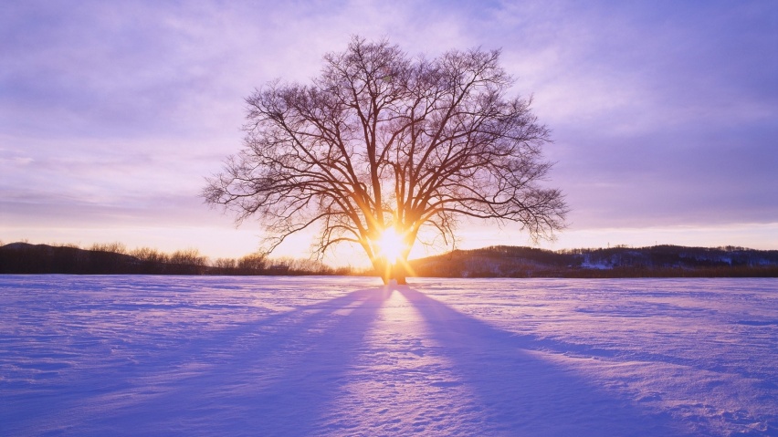 The Concierge Endoscopic Weight Loss Program at Johns Hopkins added a ...