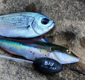 Twitchbait Berkley Dex Stunna 100 Plus1 10cm (10.3g